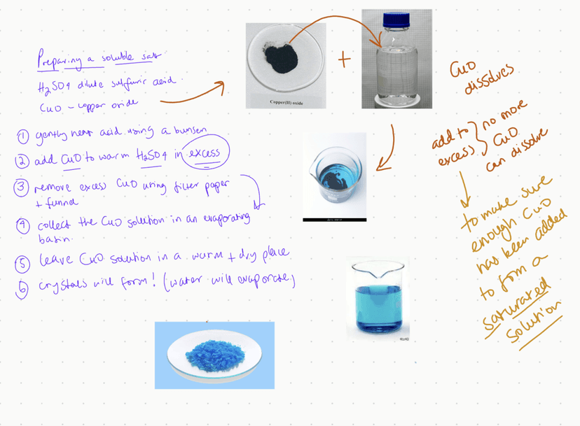 Tutor leads