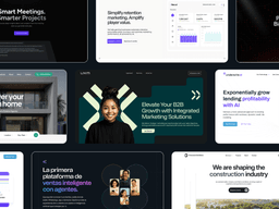 Web Designer leads