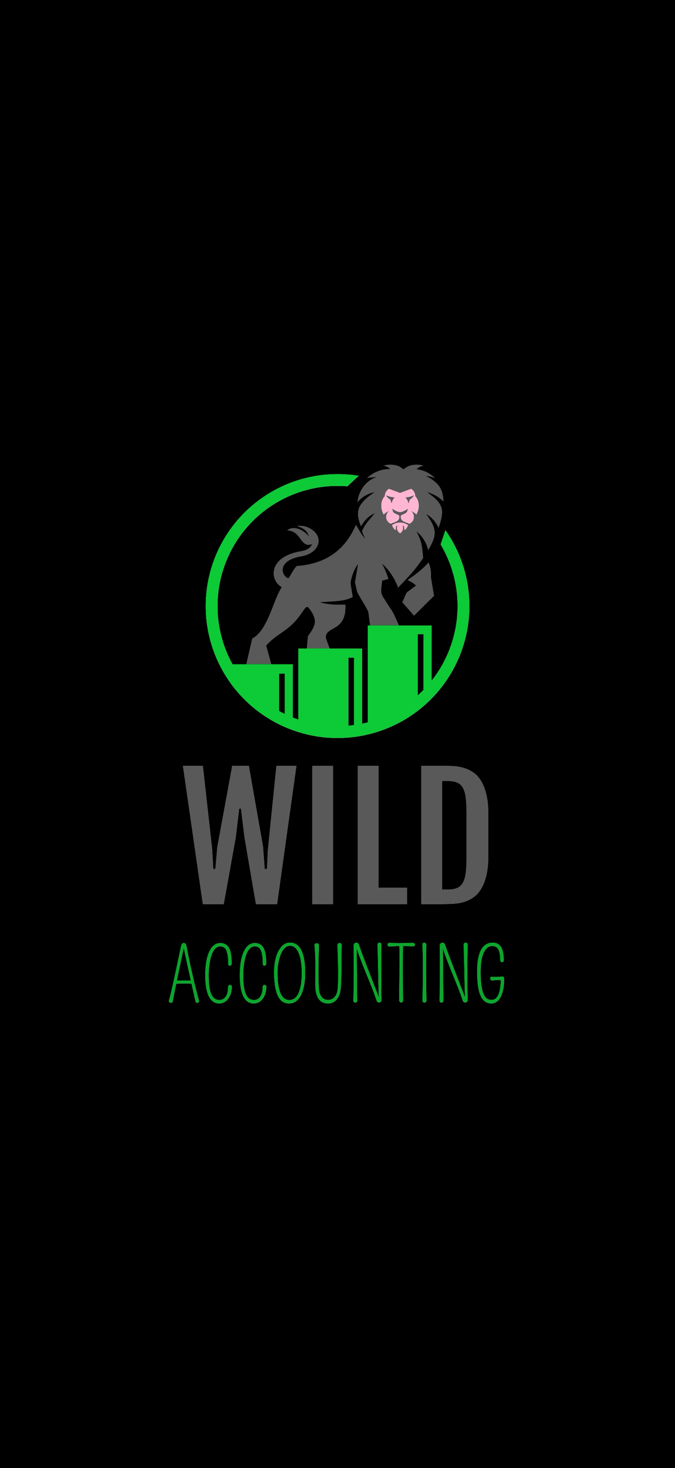 Wild Accounting Ltd