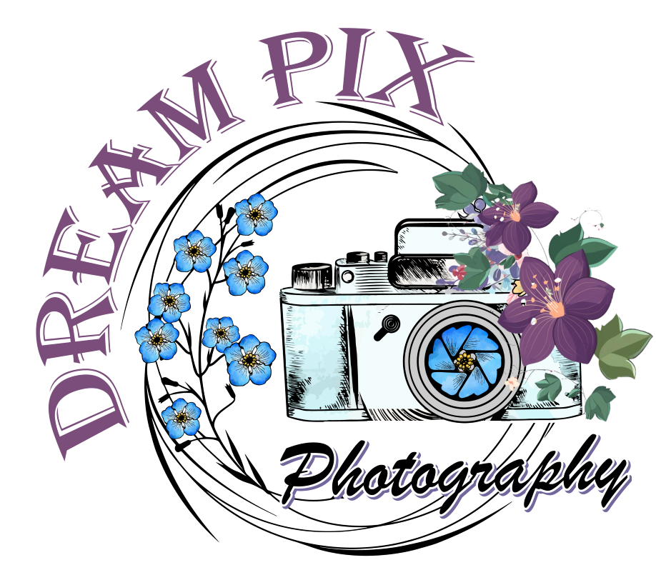 Dream Pix